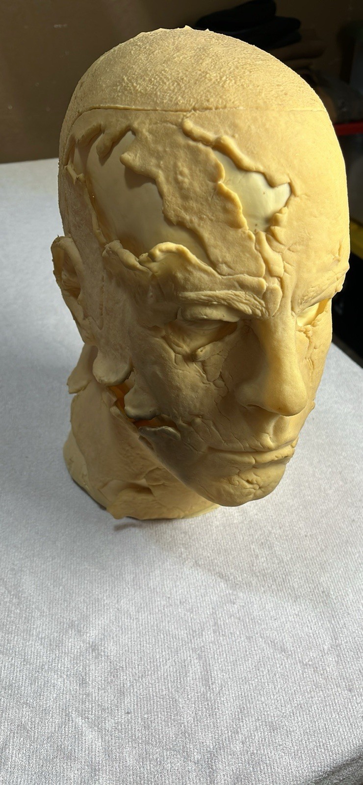 Dela torre Michael Myers mask (blank)