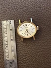 Vintage 18k Ladies Rolex Oval Strap Watch
