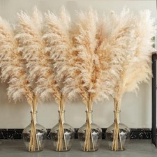 Pampas Grass XXL 100cm Deko Trockenblumen f&uuml;r Wohnzimmer Hochzeit Bad