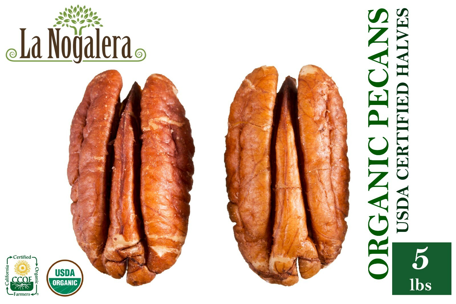 Shelled pecan nuts in 5lbs Vacuum sealed bag, Natural, Chopped or