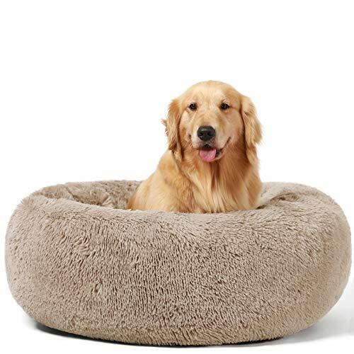 large indoor dog beds