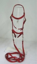 MINIATURE HORSE / SM PONY BITLESS BRIDLE - RED