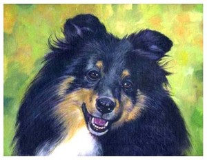 artav Shetland Sheepdog 02 Art Print Sheltie