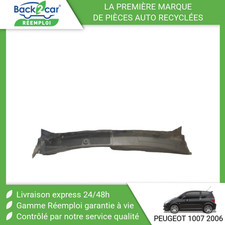 Pare-brise Peugeot 1007
