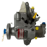 Picture 1