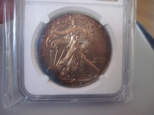 2017 W 1-oz Burnished American Silver Eagle NGC UNC Details