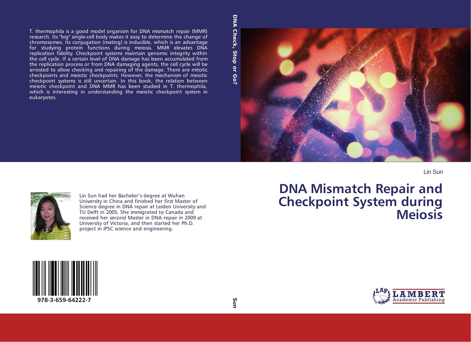 Dna Mismatch Repair And Checkpoint System During Meiosis Lin Sun
