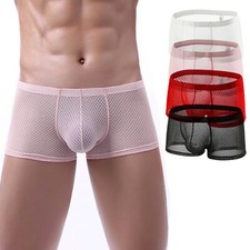 Mens See Through Mesh Boxer Briefs Low Rise Pouch Panties Lingerie Underwear