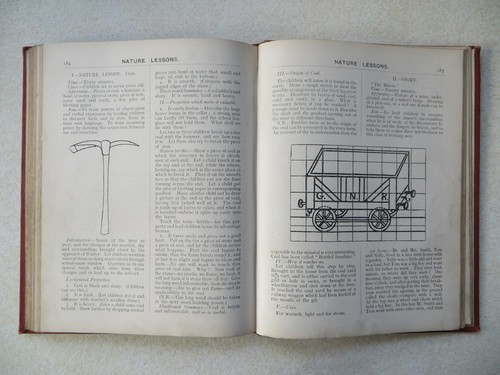 A NATURE PROGRAMME AND ITS CONNECTIONS, Jeanie Mackenzie (2nd ed., c1905?) - Picture 11 of 12