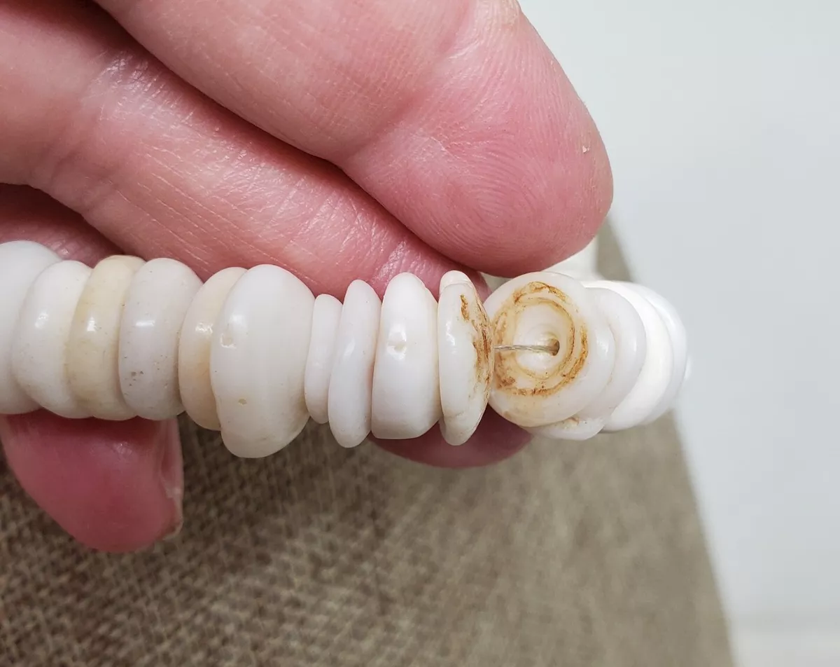 Hawaiian Beach Jewelry - Puka Shell Necklace