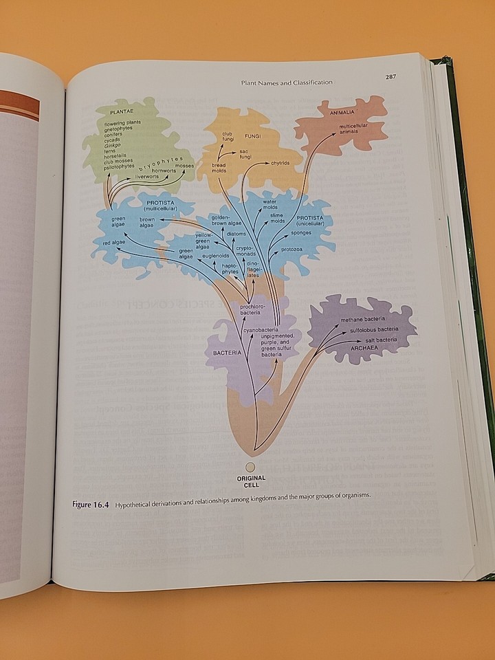 Stern's Introductory Plant Biology Shelley Jansky James E. Bidlack 12th