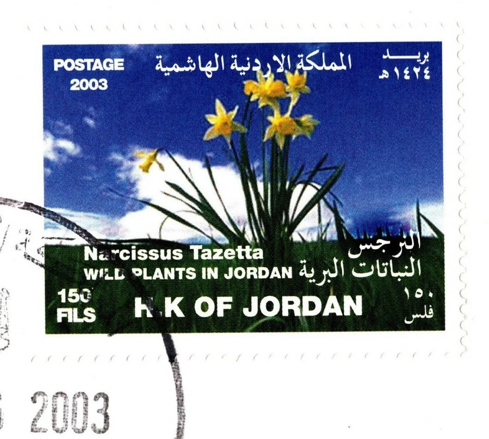 JORDAN 2003 WILD PLANTS IN JORDAN FIRST DAY COVER FOUR STAMPS SET  - Image 4 of 4