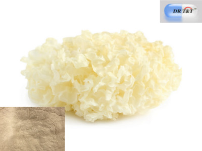 DR T&T Schneepilz (Tremella fuciformis) Pulver 100g