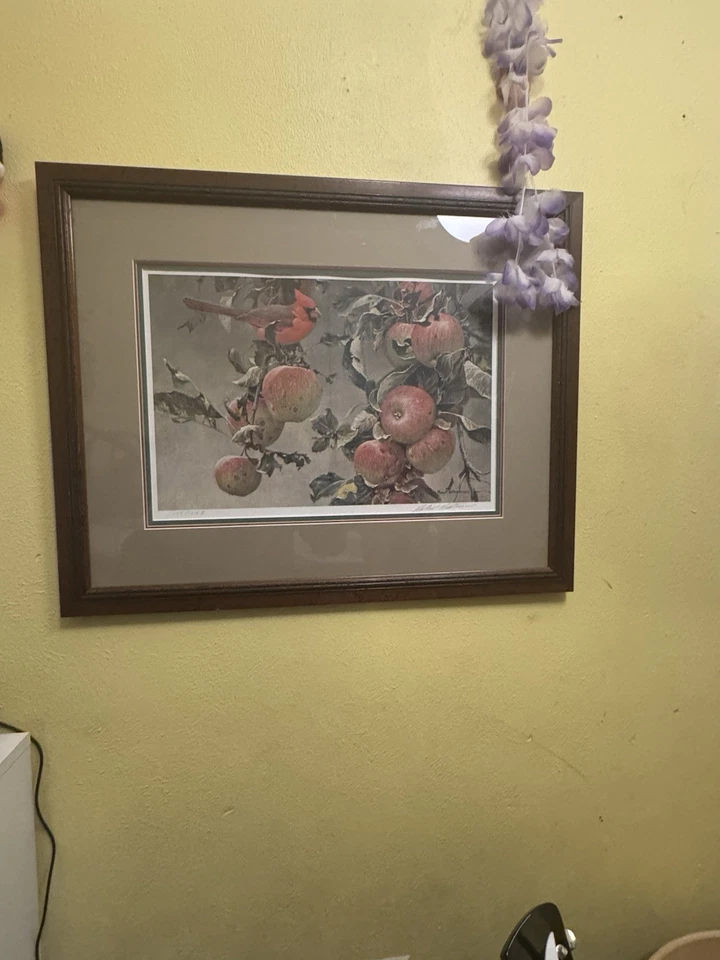 Impresión enmarcada Robert Bateman Cardinal and Wild Apples. 775/12,183 Foto 3 de 4