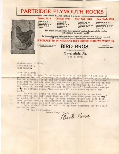 FOWL CHICKEN TURKEYS Bird Brothers Meyersdale PA 1925 Flag Canc Letter & Cover Ä