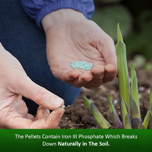 Doff Slug and Snail Killer Showerproof Slug Kill Pellets Organic Gardening New - Picture 23 of 34