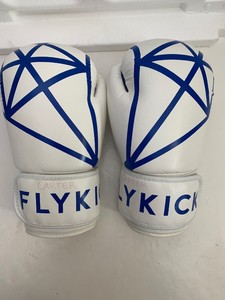 fly boxing gloves ebay