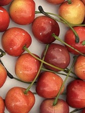 60 Total Stemmed Faux Red Cherries Lifelike Fake Cherries Kitchen /Floral