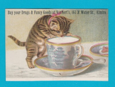 AMERICANA - WERBUNG - VAN NORT'S - UM 1900