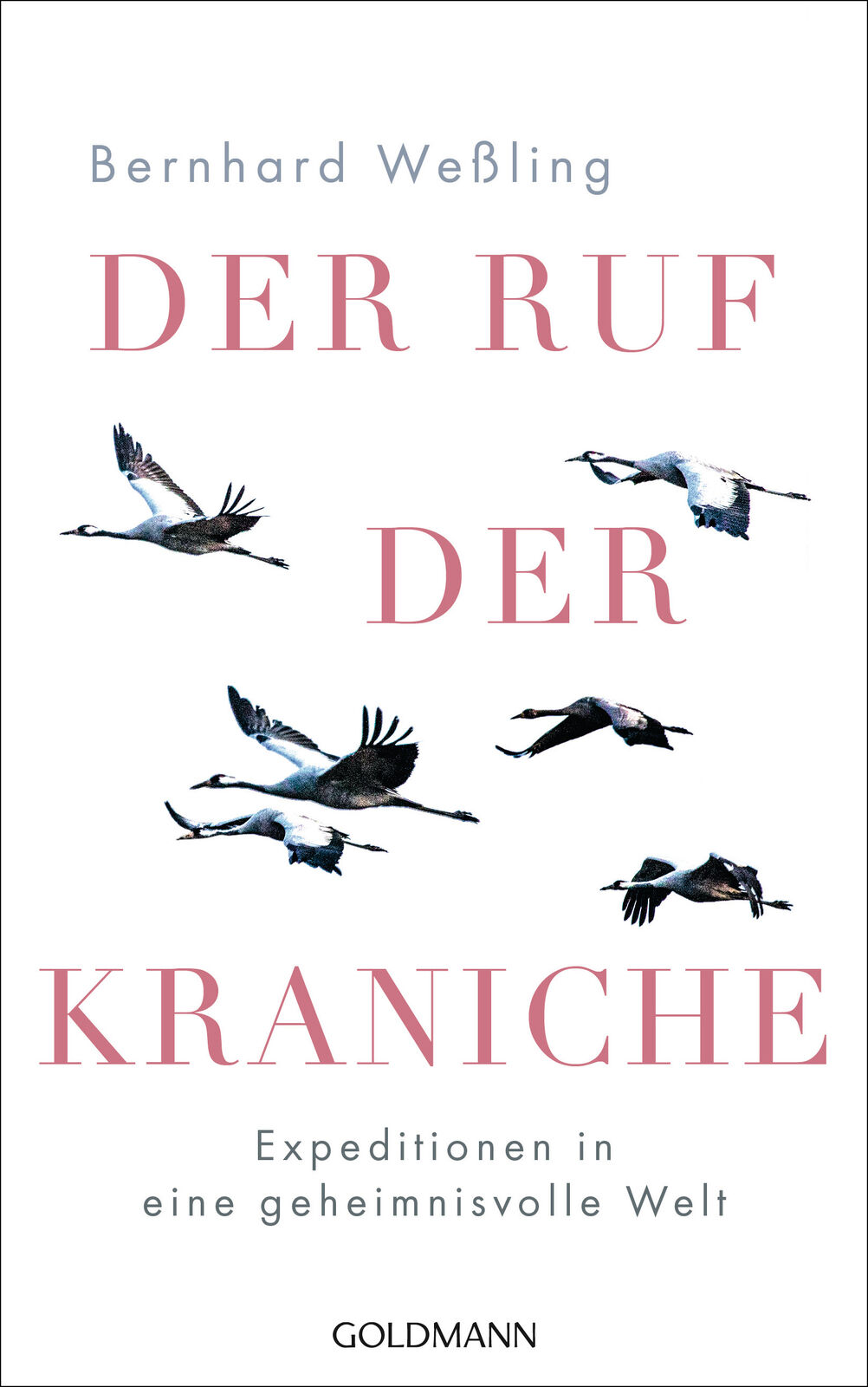 Thumbnail - Bernhard Weßling / Der Ruf Der Kraniche