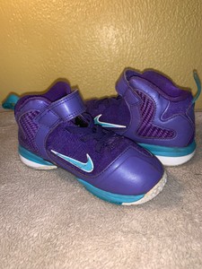 lebron 9 hornets
