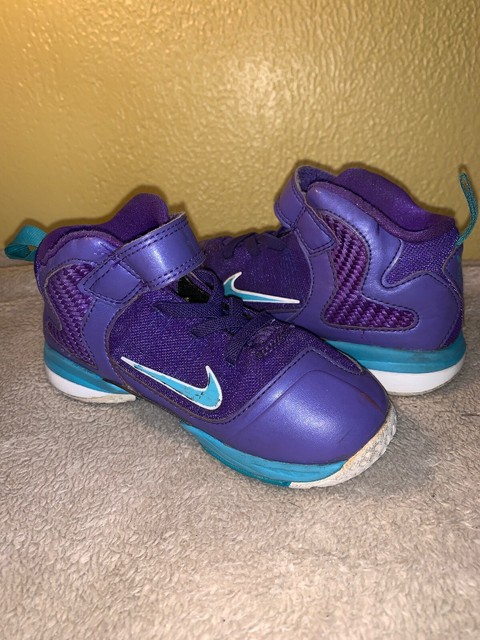 lebron 6 purple