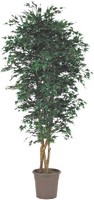 Artplants Deko Japanischer Ahornbaum Kescha, NaturstäMme, GrüN, 150Cm