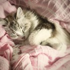Foto 16 di 17