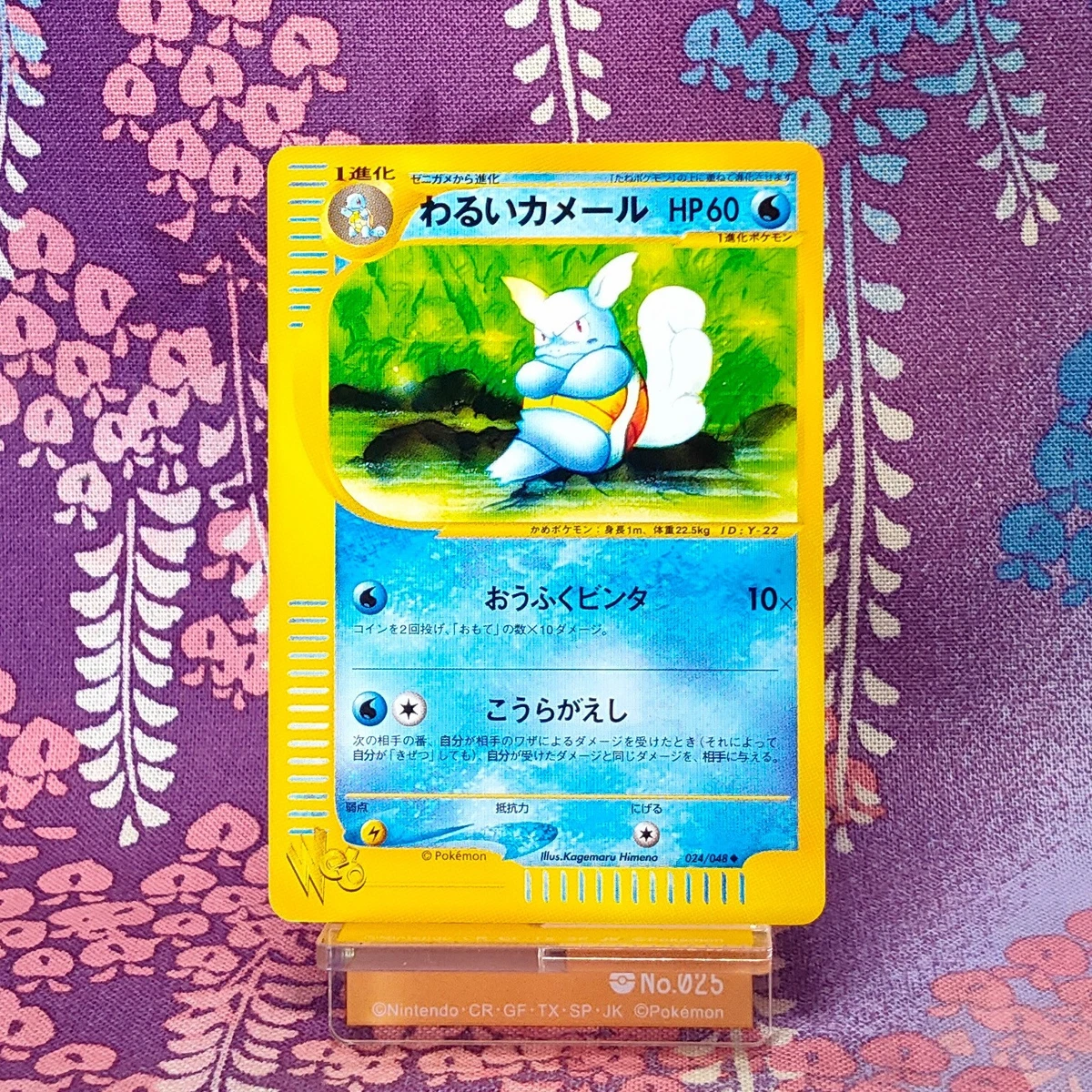 Dark Wartortle 024/048 Pokemon Web for sale | eBay