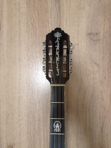 Greek Bouzouki SPECIAL OFFER-Hardcase & Pickup & 300 Backing Track & Pdf Scores - Picture 5 of 14