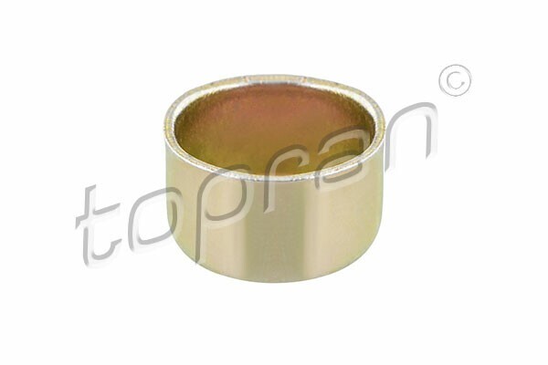 Topran Froststopfen Motorblock (110 262) FüR VW Transporter T4 Audi A4 B8 A6 C5-image