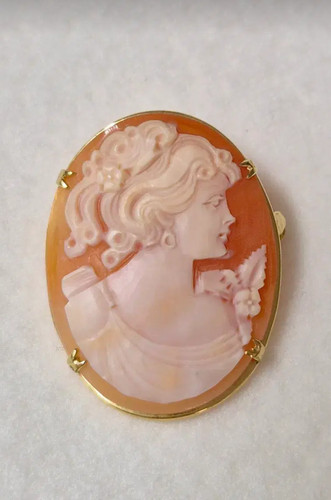 Vintage Hand Carved Shell Cameo Brooch Pendant Lady Portrait Gold Tone Signed