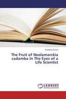 Prathibha Kumari | The Fruit Of Neolamarckia Cadamba In The Eyes Of A Life...