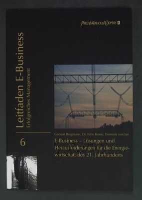 E-Business - lösungen und Herausforderungen für die Energiewirtschaft des 21. Ja