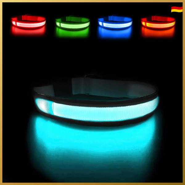 Leuchthalsband Hund Aufladbar USB-C LED Wasserdicht 3 Lichtmodi Schwarz Geschenk-image