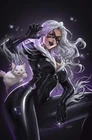 AMAZING SPIDER-MAN #34 NM (LEIRIX LI EXCLUSIVE BLACK CAT VIRGIN VARIANT) MARVEL