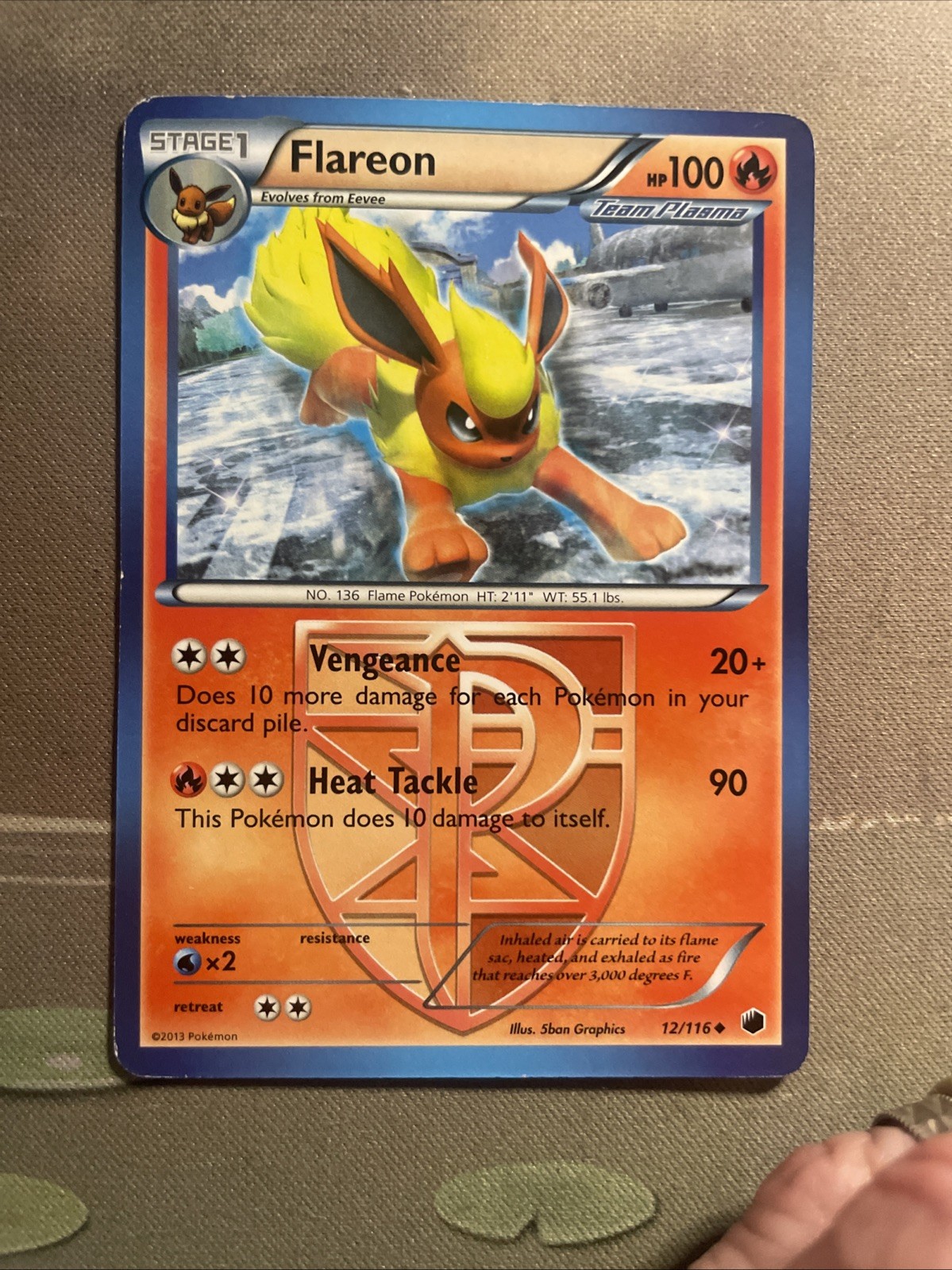 Pokémon Flareon (Team Plasma) 12/116 Plasma Freeze Regular NM Pokemon Uncommon