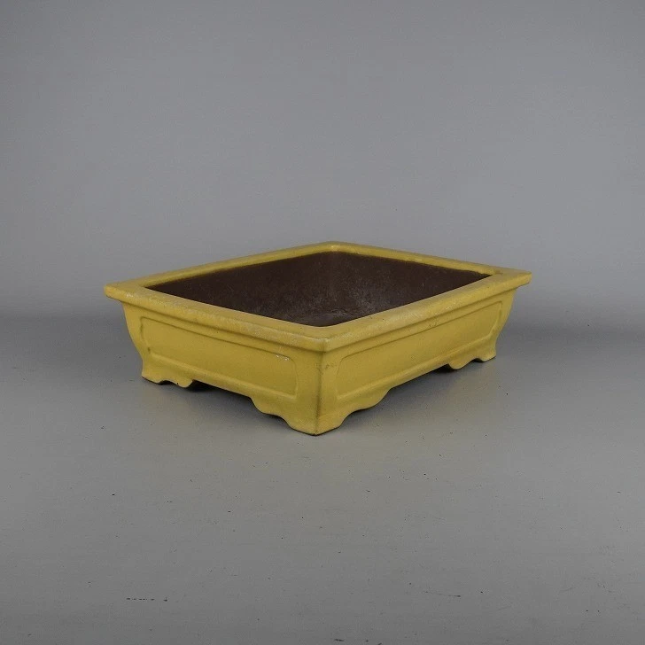 Maceta Bonsai Yamaaki Shosen Tokoname 32 cm Amarillo Esmaltado Rectángulo Mado-iri Usada Foto 2 de 4