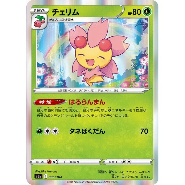 【現品】フェニックス・シルベストリス　(シルバーデーツパーム)８号　PT番 コスモダーツ ディスカバリー ヘイズ・ロング v2 スティール