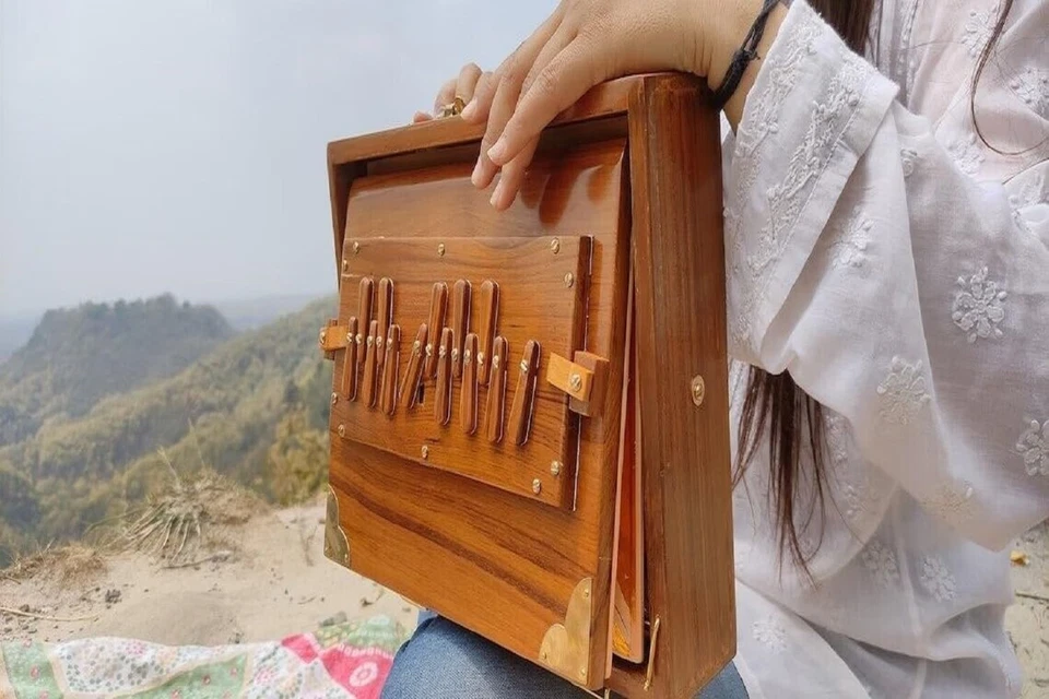 Caja Shruti Madera Teca 12", Caja Shruti Instrumento Musical con Bolsa, 432Hz Afinada Foto 4 de 4