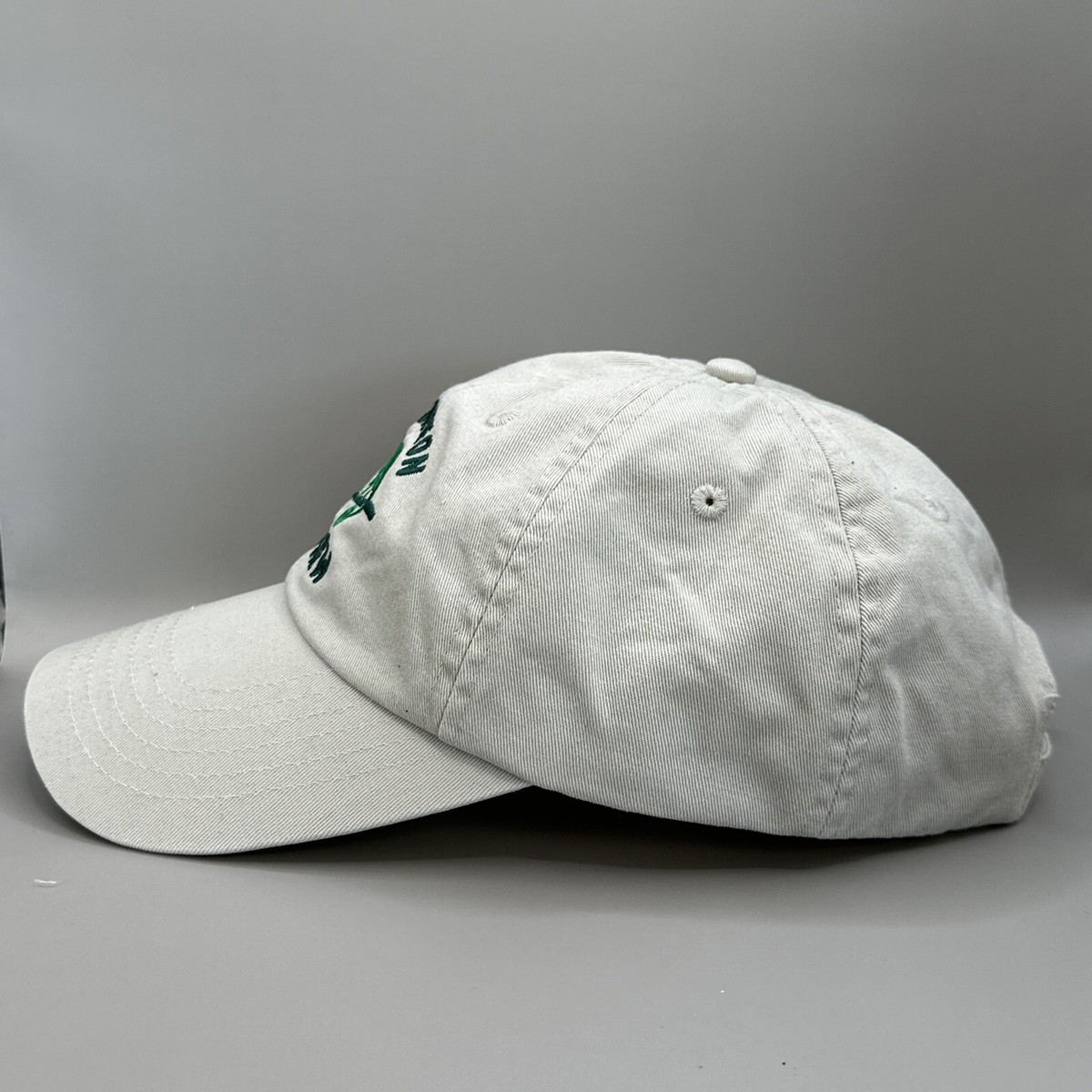 Continental Chameleon Cold-Brew Beige Hat Cap Strap Back Adjustable Upcycled View 3