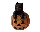 Halloween Black Cat sitting in a Jack O Lantern JOL Pumpkin Anthony Costanza — photo 1