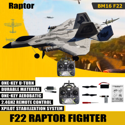 2.4G 4CH F-22 RC Airplanes 3D/6G/Vertical Flight Aerobatic Remote Control Glider