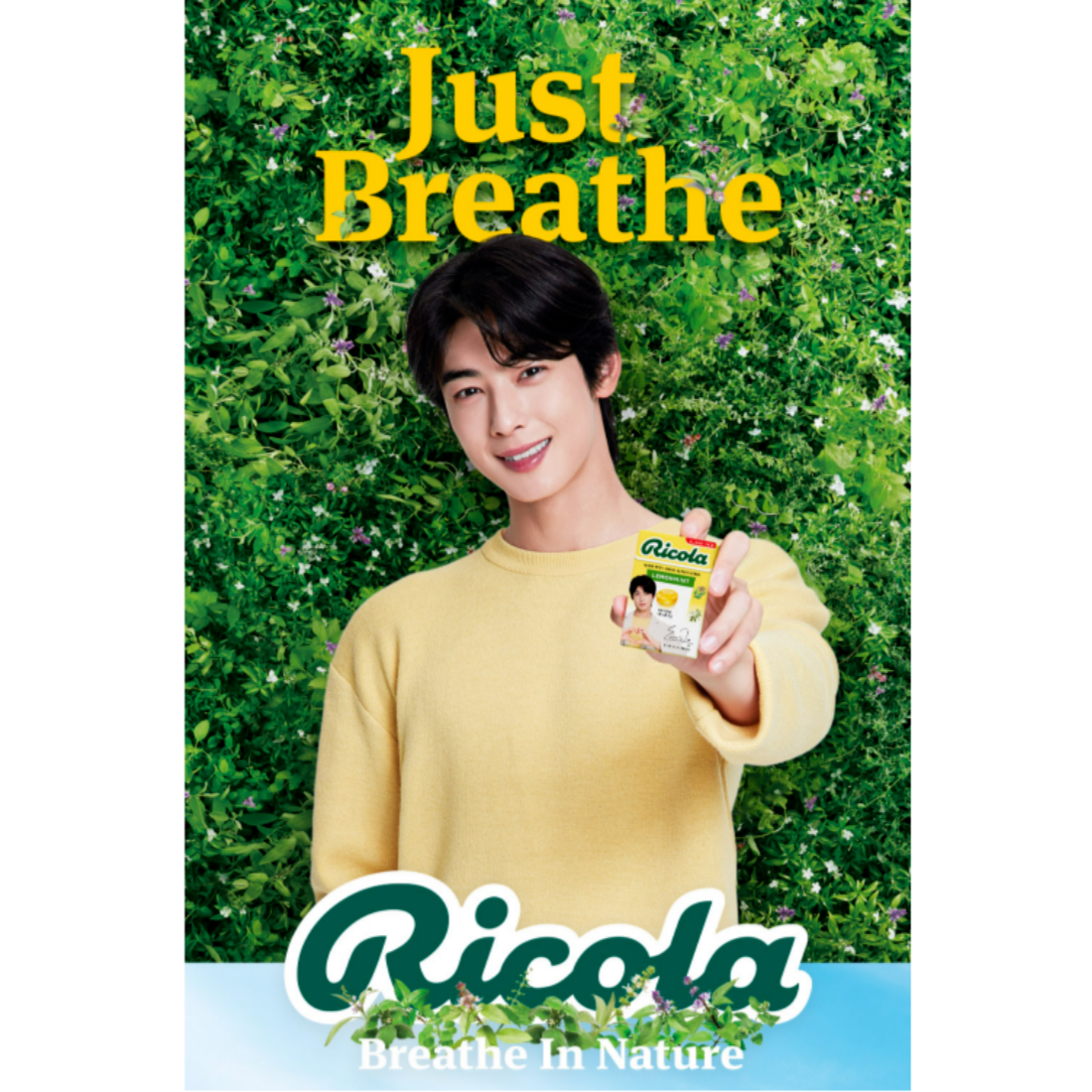 Cha Eunwoo Ricola (40g x 4boxes) + Ricola Keyring + Gift Candy Set