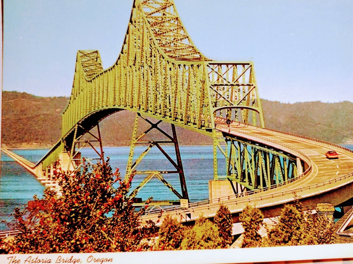 Picture 6 of 12