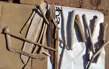 Driftwood From Lake Erie for Crafts Aquarium Terrarium Landscaping Decor 15 pcs