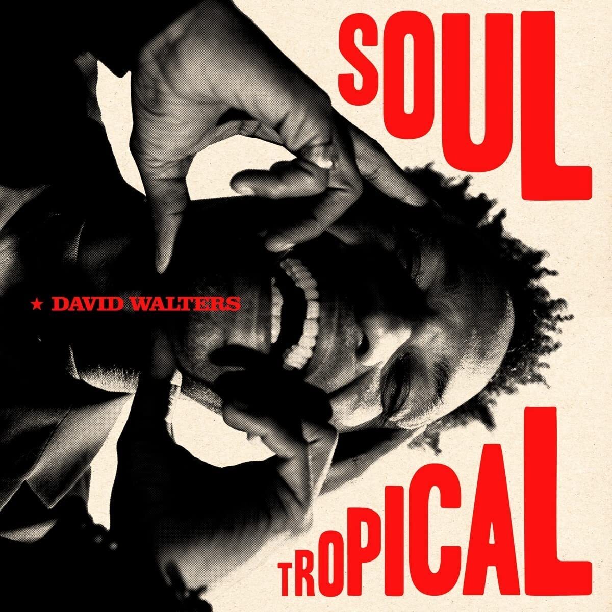 David Walters Soul Tropical (Vinyl LP) 12" Album (Gatefold Cover)