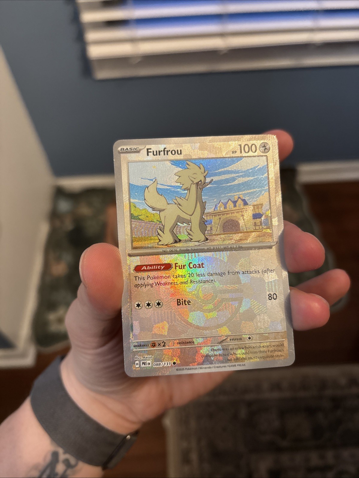 Furfrou (Master Ball Pattern) 088/131 Sv: Prismatic Evolutions Holo- MINT