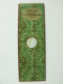Antique microscope slide. Hair of Ornithorynchus. (Duck billed Platypus).