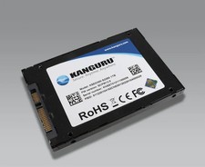 Kanguru Defender SED300 FIPS 140-2 Certified, SATA Internal Self-Encrypting SSD